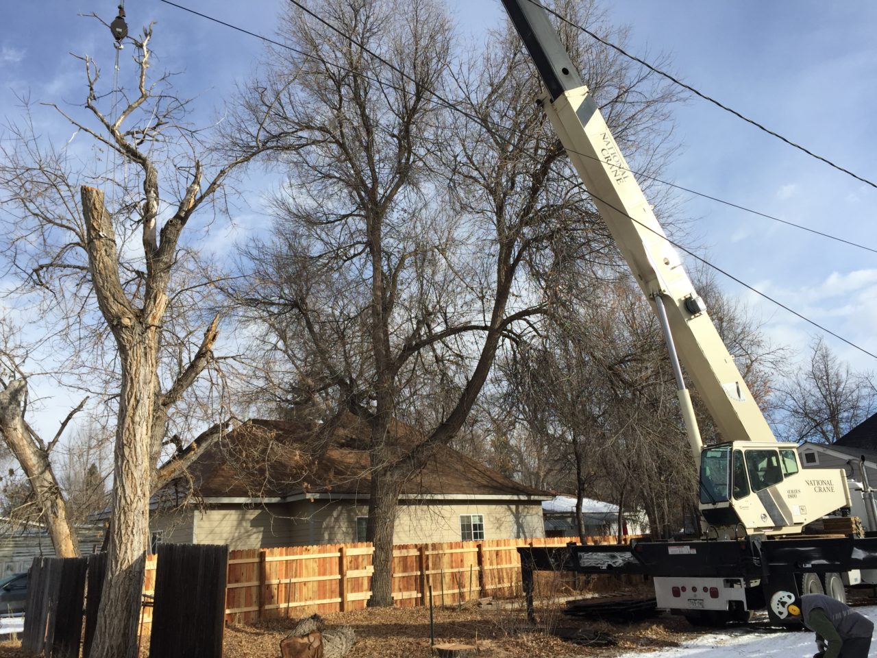 Sub Contracting TLC Tree Expert