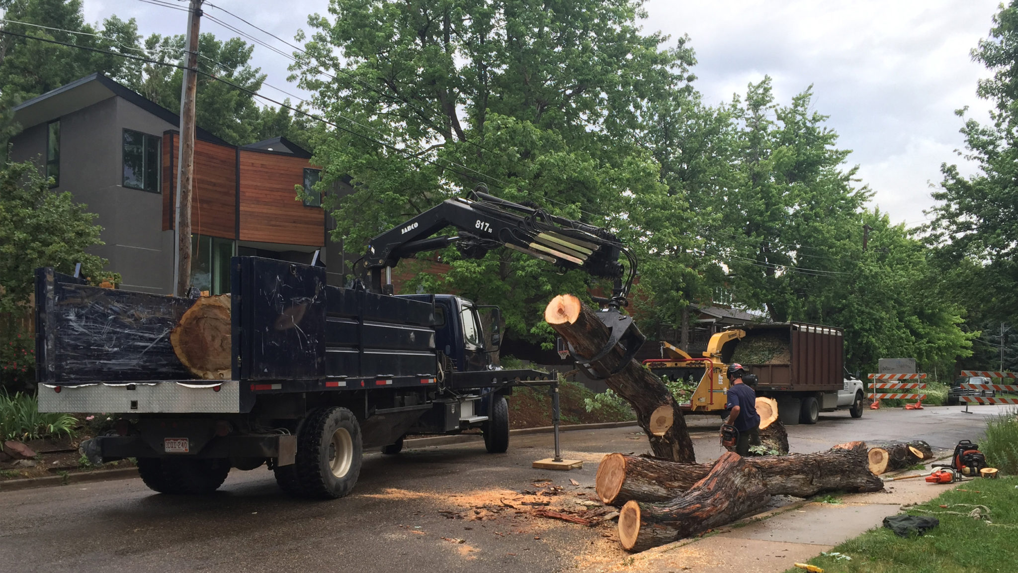 Grapple Truck TLC Tree Expert